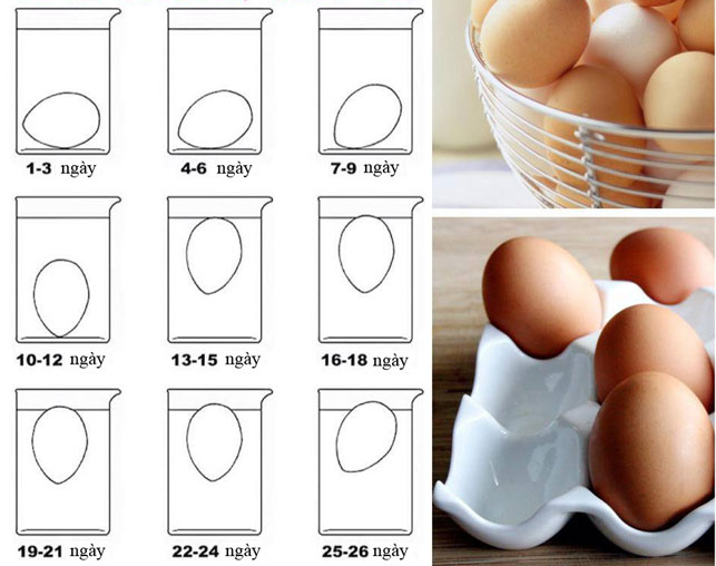 Chọn tuổi của trứng