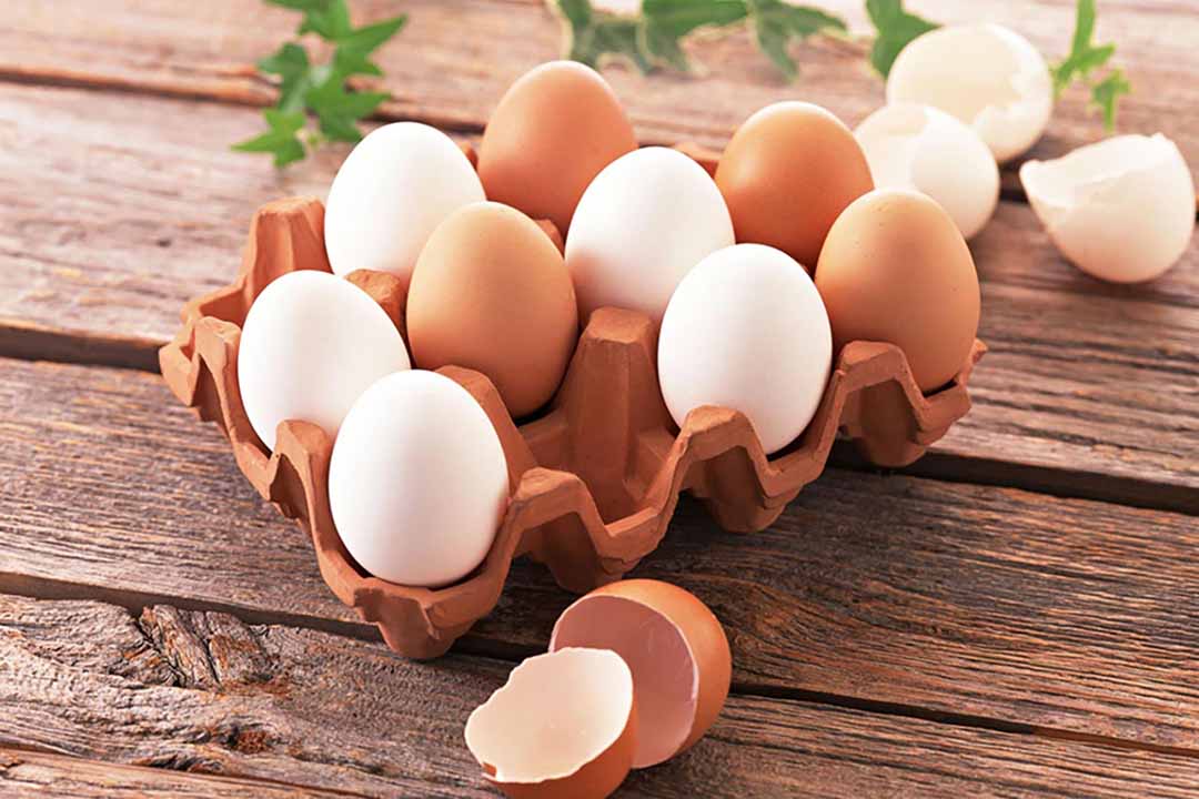 Chuyên gia nói gì về trứng?