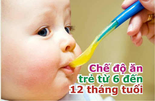 Chế độ dinh dưỡng phù hợp cho bé từ 6 - 12 tháng tuổi 